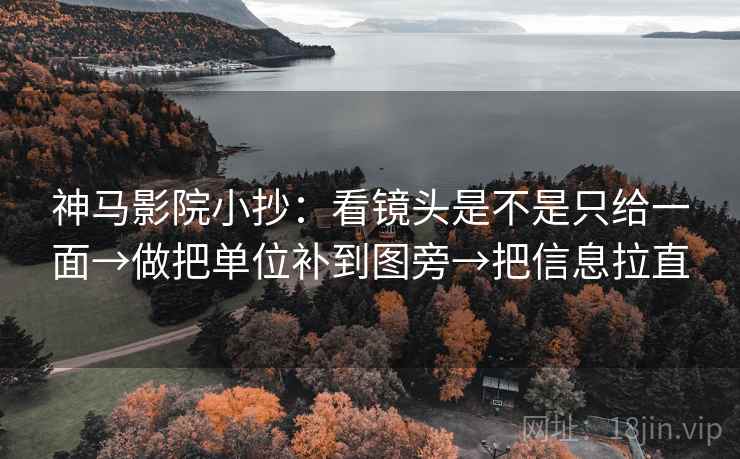 神马影院小抄：看镜头是不是只给一面→做把单位补到图旁→把信息拉直